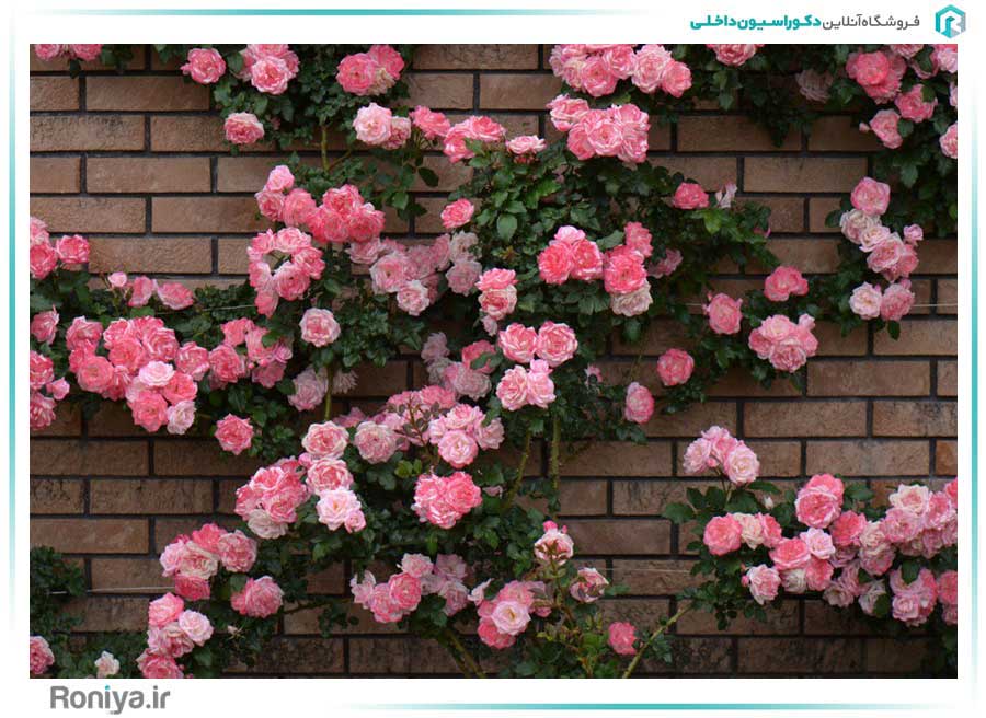 پوستر دیواری سه بعدی گل های صورتی کد RT-068