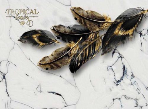 پوستر دیواری پر مشکی طلایی RT-223 4 پوستر دیواری پر مشکی طلایی RT-223 - Image 4