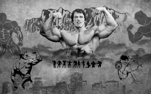 پوستر دیواری آرنولد 3DF-559 2 پوستر دیواری آرنولد 3DF-559