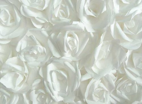 پوستر دیواری سه بعدی گل کاغذی سفید کد 3D-005 2 پوستر دیواری سه بعدی گل کاغذی سفید کد 3D-005