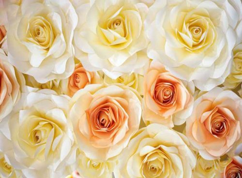 پوستر دیواری سه بعدی رز زرد و نارنجی کد 3D-006 2 پوستر دیواری سه بعدی رز زرد و نارنجی کد 3D-006