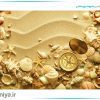 پوستر دیواری سه بعدی صدف ها و قطب نما کد 3D-037