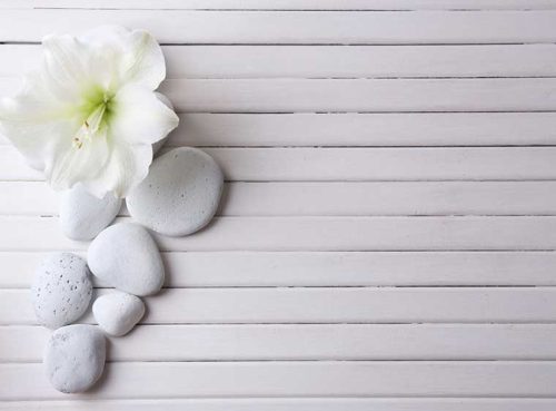 پوستر دیواری گل سه بعدی نسترن سفید کد 3DF-121 2 پوستر دیواری گل سه بعدی نسترن سفید کد 3DF-121