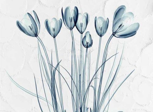 پوستر دیواری گل آبی کد 3DF-222 2 پوستر دیواری گل آبی کد 3DF-222