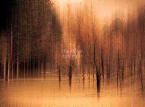 پوستر دیواری انتزاعی سه بعدی پاییز بی برگی کد AB-009 2 پوستر دیواری انتزاعی سه بعدی پاییز بی برگی کد AB-009