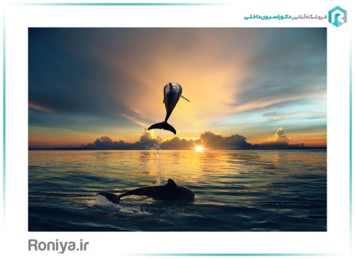 پوستر دیواری سه بعدی دلفین ها در غروب کد AN-010