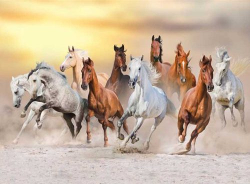 پوستر دیواری سه بعدی فرار اسب ها کد AN-025 2 پوستر دیواری سه بعدی فرار اسب ها کد AN-025