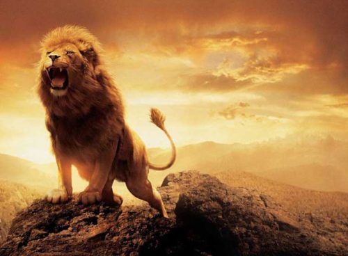 پوستر دیواری سه بعدی غرش شیر کد AN-029 2 پوستر دیواری سه بعدی غرش شیر کد AN-029