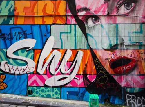 پوستر دیواری سه بعدی گرافیتی SHY کد FS-002 2 پوستر دیواری سه بعدی گرافیتی SHY کد FS-002