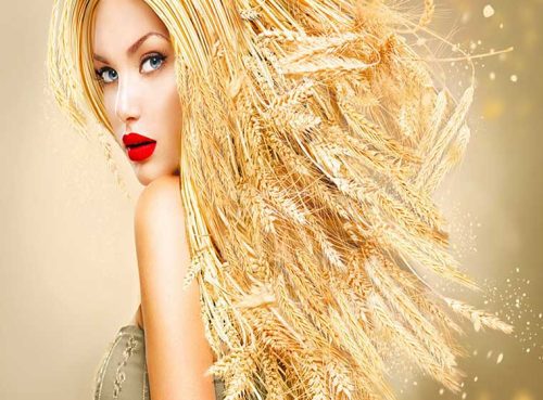 پوستر دیواری فشن سه بعدی مو گندمی کد FS-053 2 پوستر دیواری فشن سه بعدی مو گندمی کد FS-053