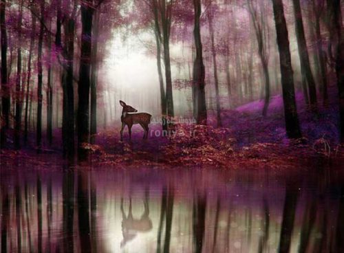 پوستر دیواری سه بعدی چشم انداز آهو کد LS-075 2 پوستر دیواری سه بعدی چشم انداز آهو کد LS-075