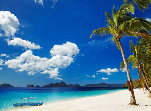 پوستر دیواری طبیعت سه بعدی آسمان نخل های ساحل کد NT-007 2 پوستر دیواری طبیعت سه بعدی آسمان نخل های ساحل کد NT-007