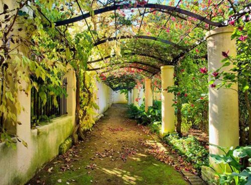 پوستر دیواری طبیعت سه بعدی جاده پوشیده با گل ها کد NT-010 2 پوستر دیواری طبیعت سه بعدی جاده پوشیده با گل ها کد NT-010