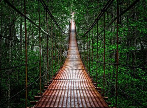 پوستر دیواری سه بعدی پل کد NT-028 2 پوستر دیواری سه بعدی پل کد NT-028