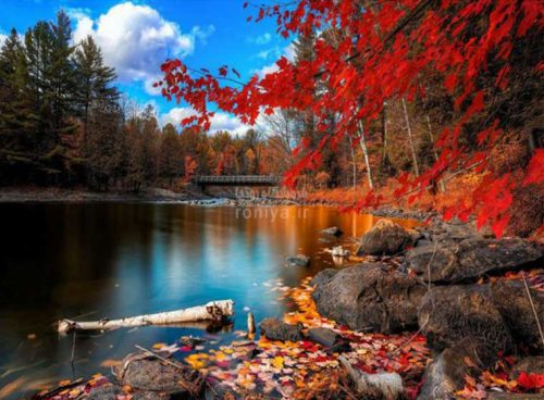 پوستر دیواری سه بعدی دریاچه پاییزی کد NT-050 2 پوستر دیواری سه بعدی دریاچه پاییزی کد NT-050