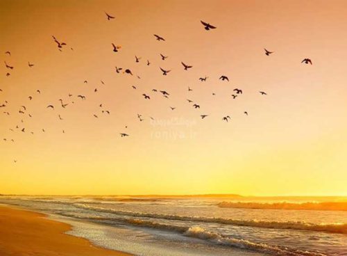 پوستر دیواری سه بعدی غروب در ساحل کد NT-084 2 پوستر دیواری سه بعدی غروب در ساحل کد NT-084