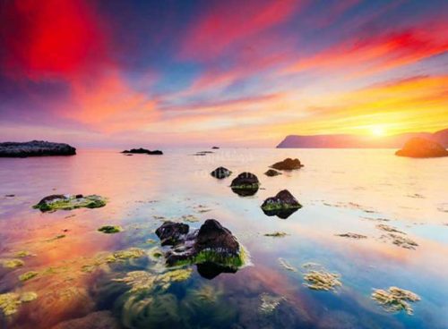 پوستر دیواری سه بعدی دریاچه ی زلال کد NT-099 2 پوستر دیواری سه بعدی دریاچه ی زلال کد NT-099