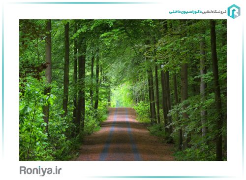پوستر دیواری منظره جنگل کد NT-150