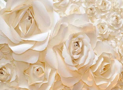 پوستر دیواری سه بعدی رز سفید کد 3D-053 2 پوستر دیواری سه بعدی رز سفید کد 3D-053