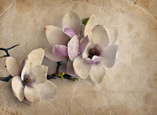 پوستر دیواری سه بعدی ارکیده کد 3D-074 2 پوستر دیواری سه بعدی ارکیده کد 3D-074