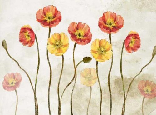 پوستر گل رز 3DF-415 4 پوستر گل رز 3DF-415