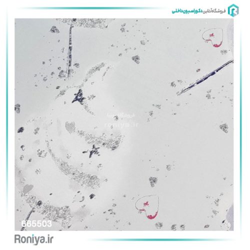 کاغذ دیواری طرح بچه‌گانه کد 665501