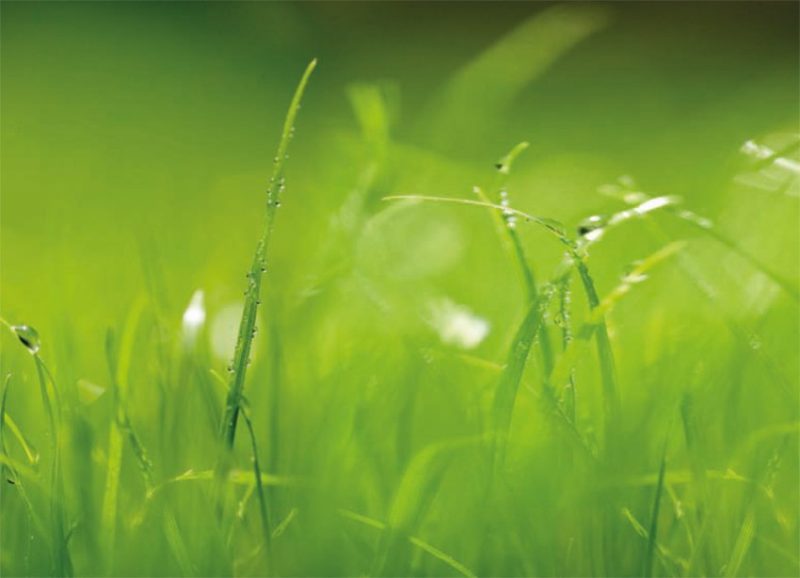 پوستر دیواری ارزان 20 طرح