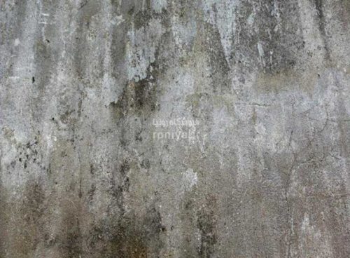 پوستر دیواری طرح پتینه AB-69 4 پوستر دیواری طرح پتینه AB-69