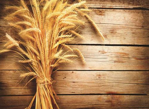 پوستر دیواری طرح چوب و خوشه گندم 3DF-337 4 پوستر دیواری طرح چوب و خوشه گندم 3DF-337