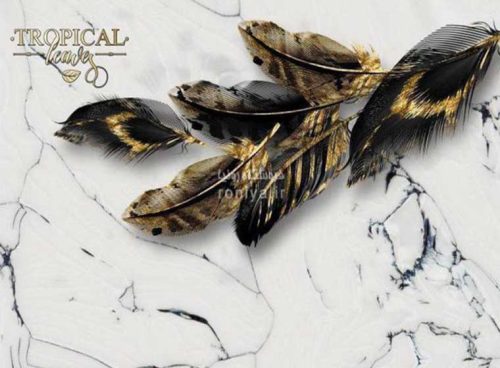 پوستر سه بعدی مدرن طرح پر 3DF-438 2 پوستر سه بعدی مدرن طرح پر 3DF-438