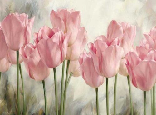 پوستر سه بعدی گل لاله 3DF-587 6 پوستر سه بعدی گل لاله 3DF-587