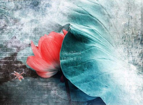 پوستر دیواری آبی فیروزه ای کد AB-64 6 پوستر دیواری آبی فیروزه ای کد AB-64