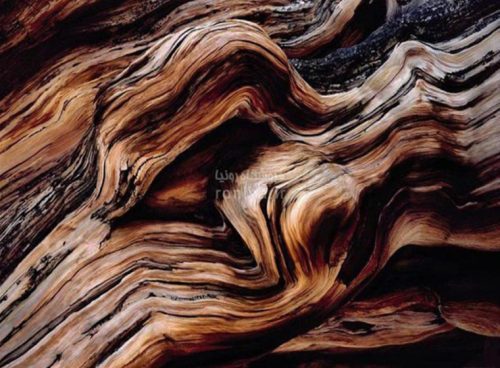 پوستر دیواری چوب 4 پوستر دیواری چوب