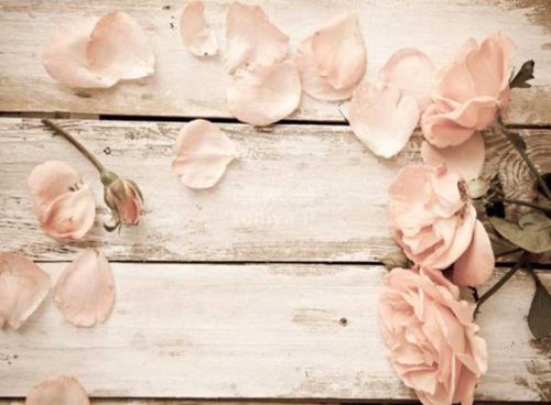 پوستر دیواری گل رز صورتی 3DF-251 7 پوستر دیواری گل رز صورتی 3DF-251