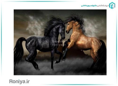 پوستر سه بعدی اسب AN-047 4 پوستر سه بعدی اسب AN-047