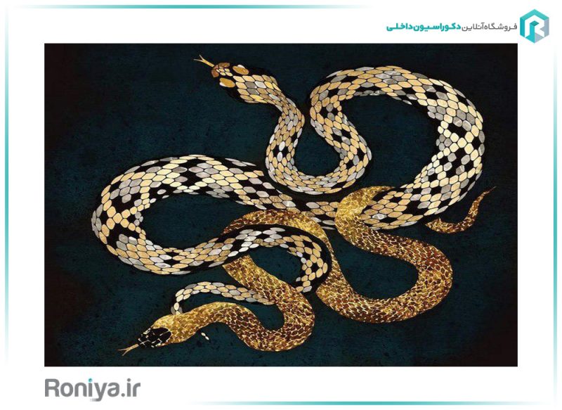 پوستر دیواری مار AN-049 3 پوستر دیواری مار AN-049