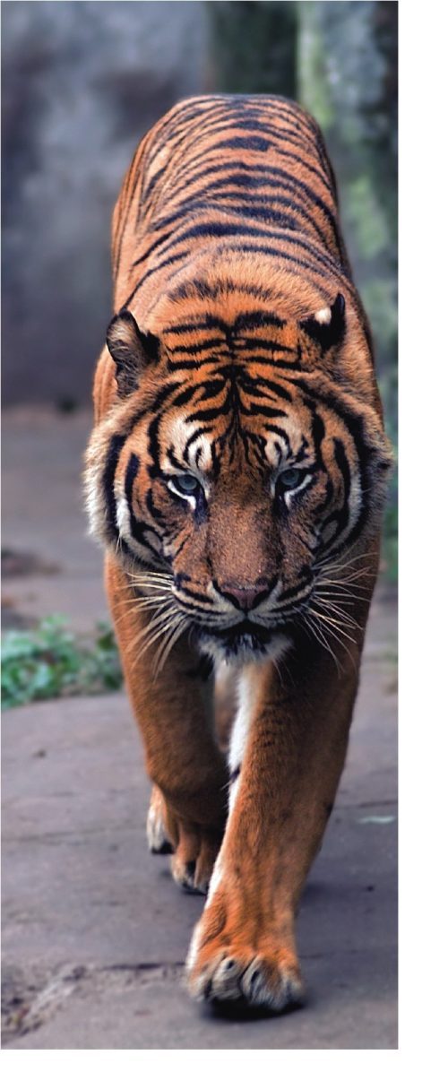 طرح های پوستر درب اتاق خواب 7 طرح های پوستر درب اتاق خواب