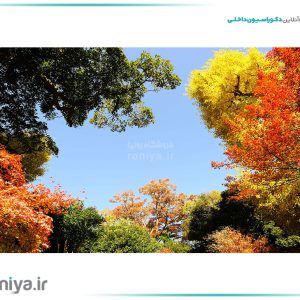 آسمان مجازی درختان پاییزی کد T91