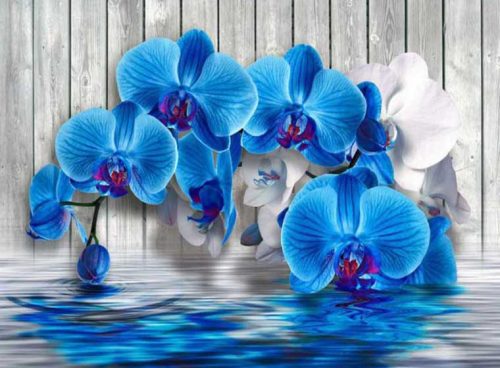 پوستر دیواری سه بعدی گل آبی کد 3DF-008