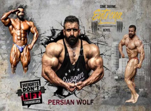 پوستر دیواری هادی چوپان کد LX-029 4 پوستر دیواری هادی چوپان کد LX-029