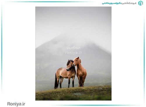 پوستر دیواری طرح اسب کد 3DF-202 2 پوستر دیواری طرح اسب کد 3DF-202