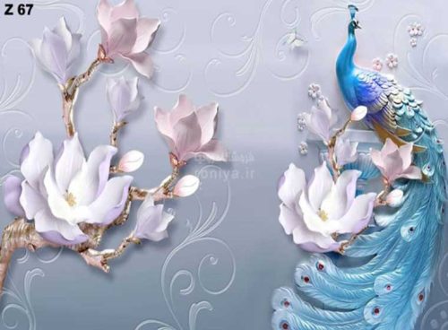 پوستر دیواری طاووس کد Z67 3 پوستر دیواری طاووس کد Z67