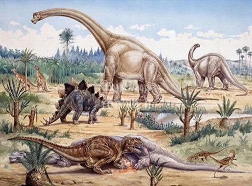 پوستر دیواری دایناسورهاCode-CN-0278 3 پوستر دیواری دایناسورهاCode-CN-0278