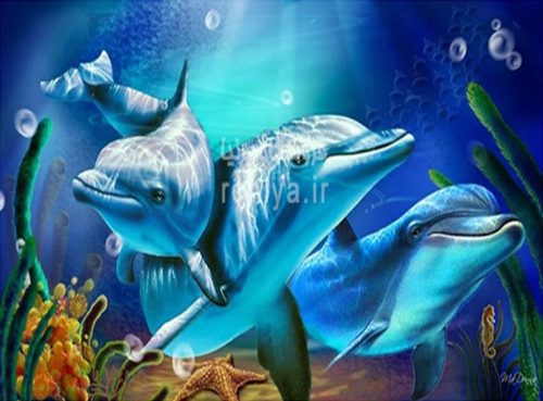 پوستر دیواری آکواریوم و دلفینCode- AN-055