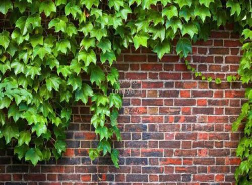 پوستر دیواری سه بعدی طرح آجر کد RT-093 4 پوستر دیواری سه بعدی طرح آجر کد RT-093