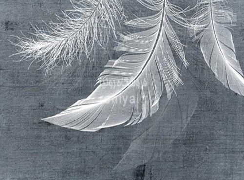 پوستردیواری طرح پر طوسیAB-82 3 پوستردیواری طرح پر طوسیAB-82