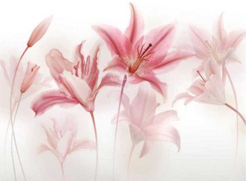 پوستر دیواری صورتی کد 3DF-076 4 پوستر دیواری صورتی کد 3DF-076