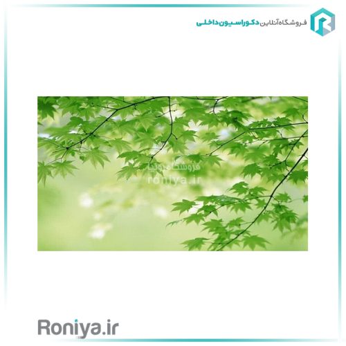 پوستر دیواری برگ صنوبرCode-LS-125 2 پوستر دیواری برگ صنوبرCode-LS-125