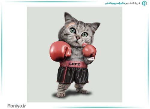 پوستر دیواری باشگاه کد CN-052 3 پوستر دیواری باشگاه کد CN-052