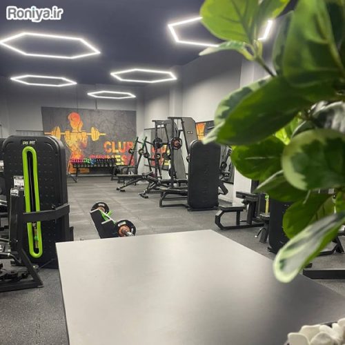 پوستر دیواری فیتنس بانوان 3DF-542 - Image 4